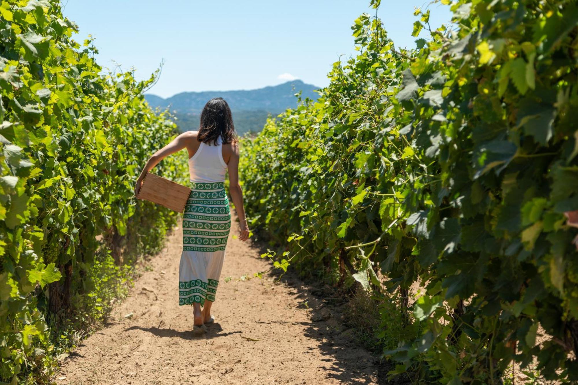 Willa Cantina&Agriturismo Canu Luogosanto Zewnętrze zdjęcie