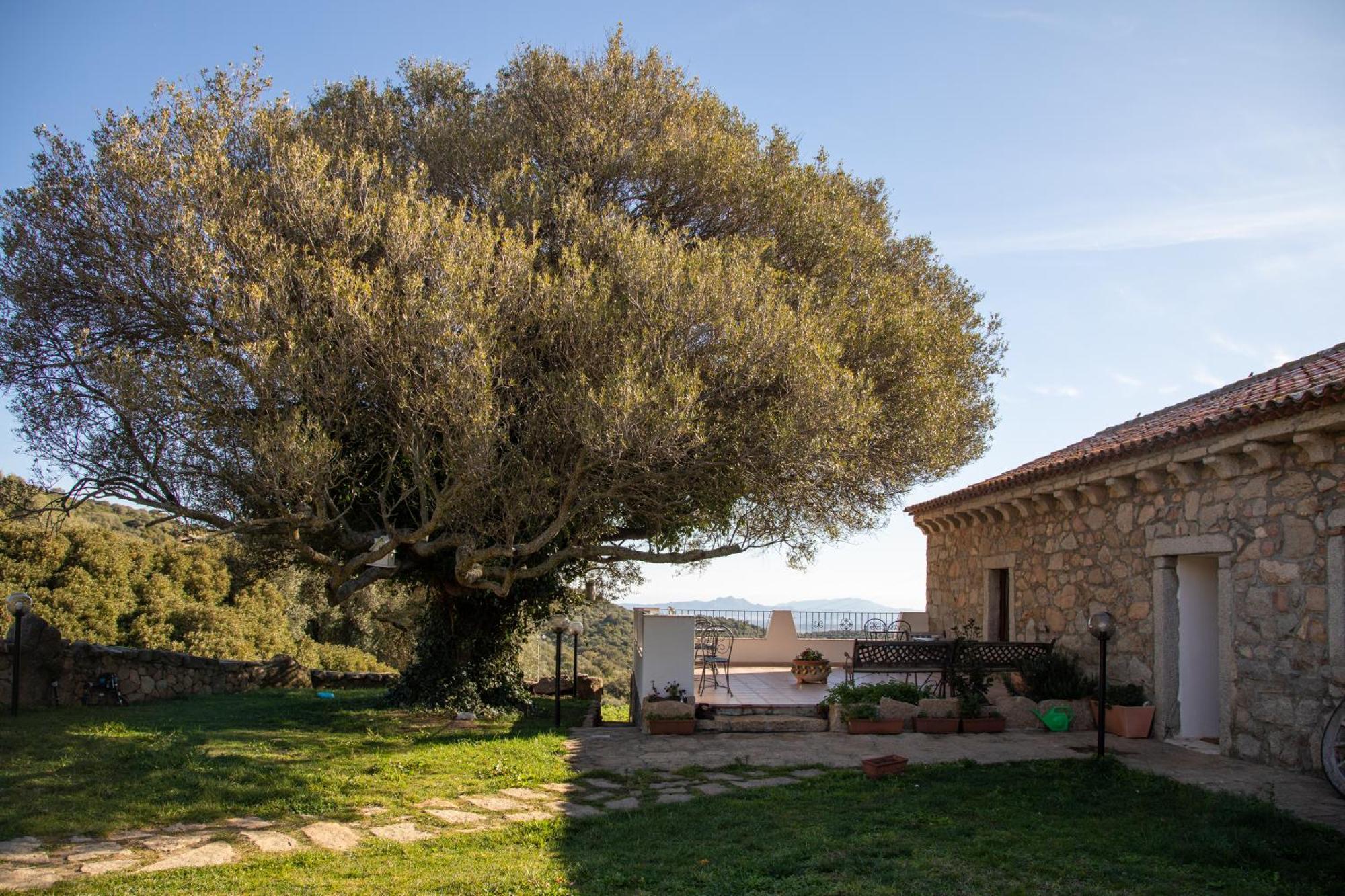 Willa Cantina&Agriturismo Canu Luogosanto Zewnętrze zdjęcie